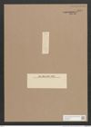 Diatomeae indet. (de-Toni-Nr.: Species 2539 ?) Zeichnungen Sammlung Grunow Nr. 5100 (NHMW-BOT-W0373380)
